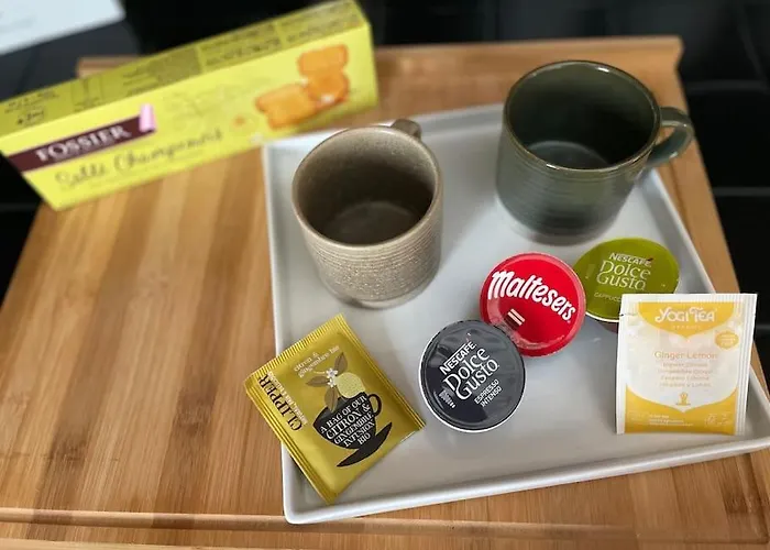 Appartement Grand T3 Lumineux Ideal Famille Ou Amis Avec Parking Gratuit Épernay