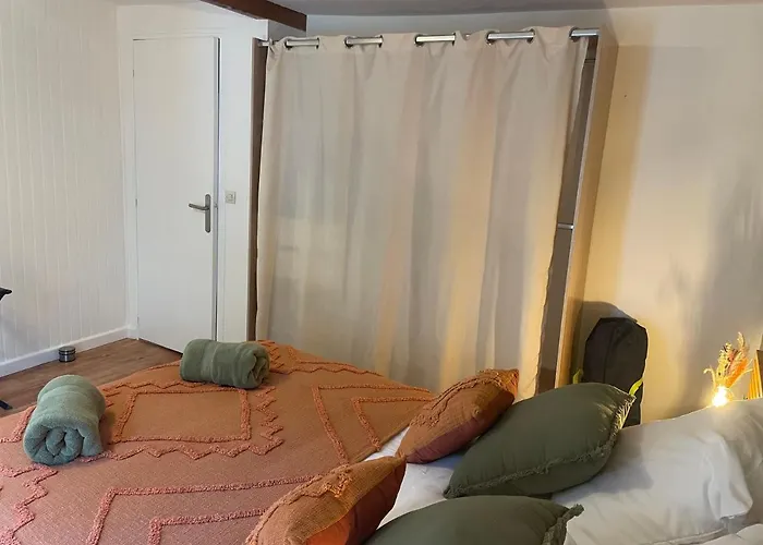 Grand T3 Lumineux Ideal Famille Ou Amis Avec Parking Gratuit